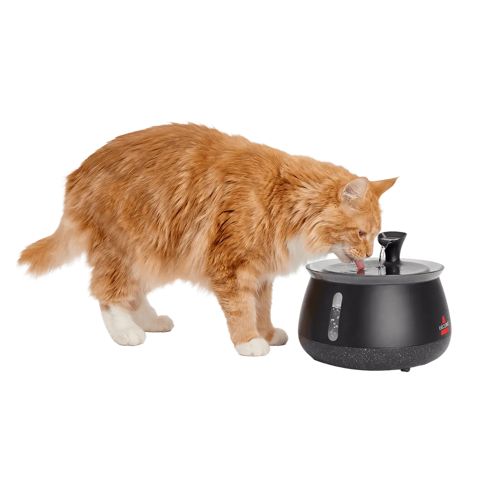BISSELL HydrateWellTM Cat Water Fountain -Fresh, Filtered Water with Ultra-Quiet WirelessPump