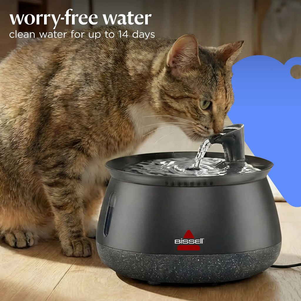 BISSELL HydrateWellTM Cat Water Fountain -Fresh, Filtered Water with Ultra-Quiet WirelessPump