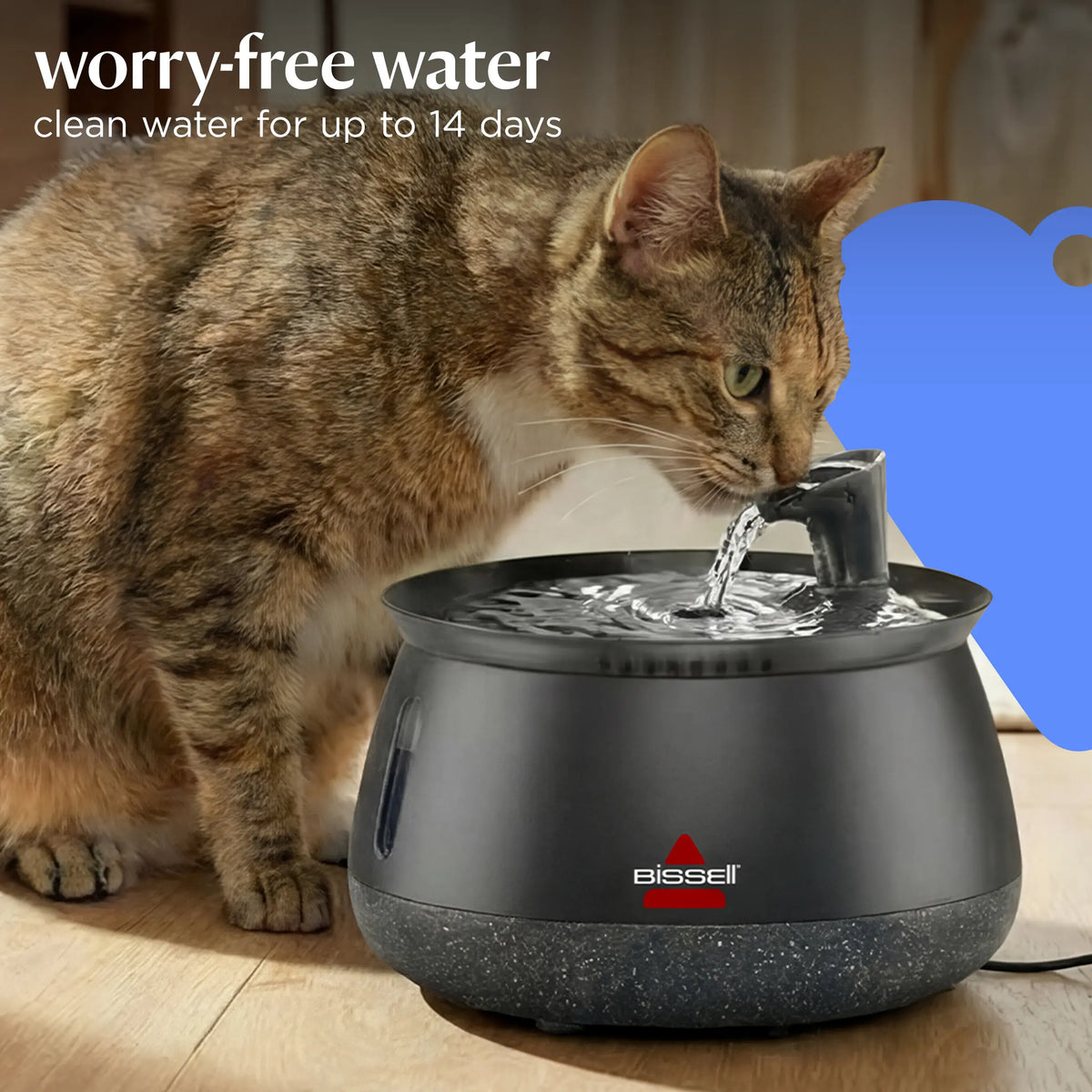 BISSELL HydrateWellTM Cat Water Fountain -Fresh, Filtered Water with Ultra-Quiet WirelessPump