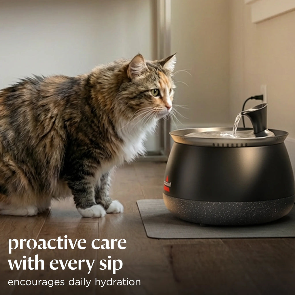 BISSELL HydrateWellTM Cat Water Fountain -Fresh, Filtered Water with Ultra-Quiet WirelessPump