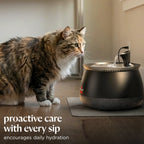BISSELL HydrateWellTM Cat Water Fountain -Fresh, Filtered Water with Ultra-Quiet WirelessPump