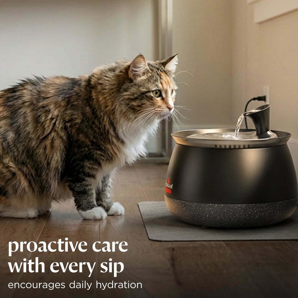BISSELL HydrateWellTM Cat Water Fountain -Fresh, Filtered Water with Ultra-Quiet WirelessPump